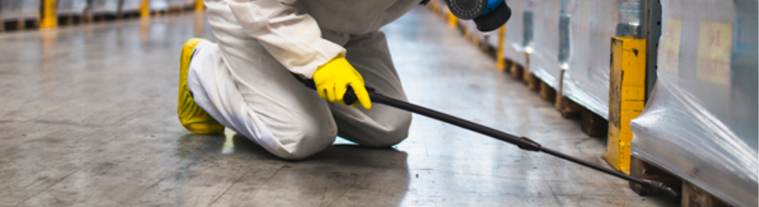 Como fazer dedetização 24 HORAS